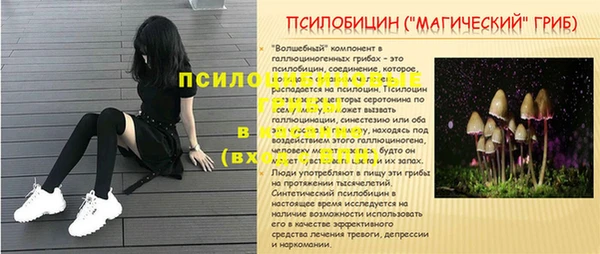ALPHA-PVP Горнозаводск