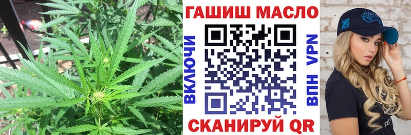 Дистиллят ТГК вейп  omg ссылки  Курган  дарнет шоп 